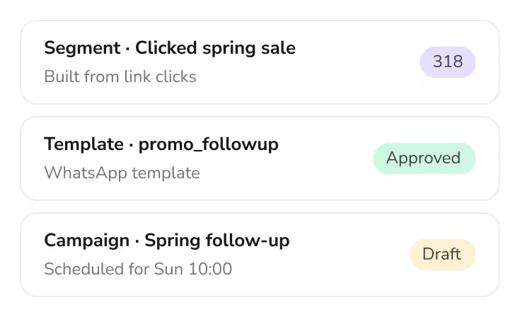 Segment, template and campaign prepared by TopAgent